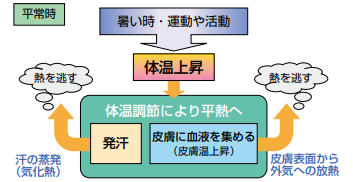 熱中症　体温調節